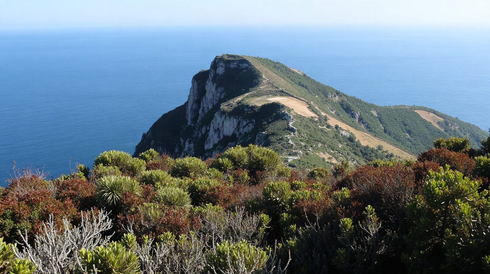 Deux versants de côte vus d'un promontoire, l'un agité, l'autre lisse